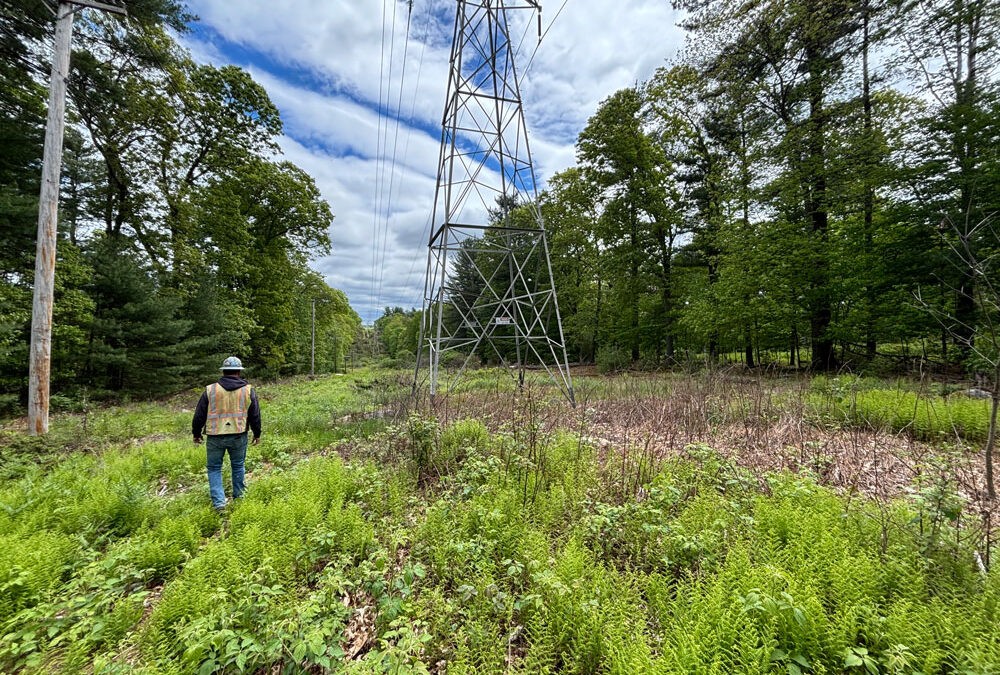 Transmission Line Constructibility Study