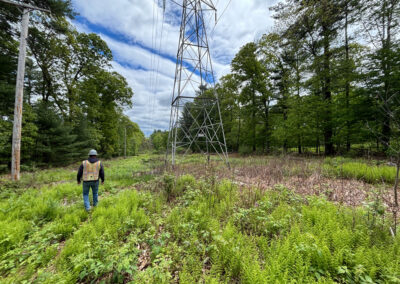 Transmission Line Constructibility Study